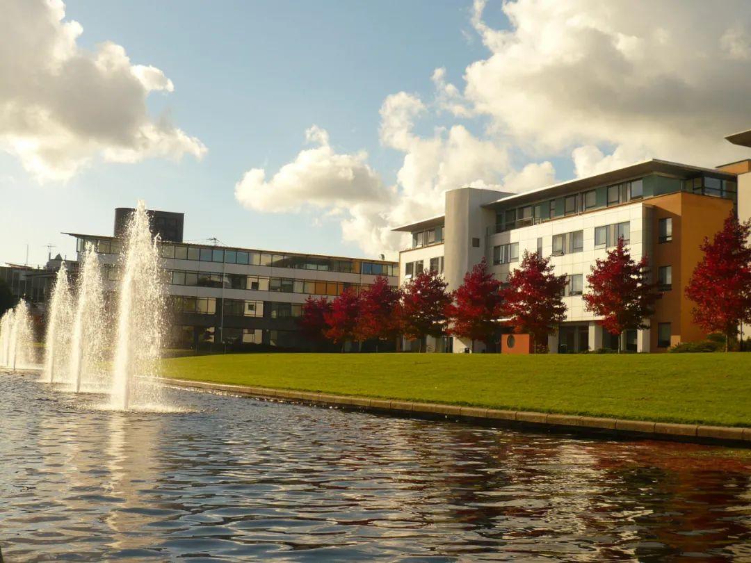 华 威 大 学 the university of warwick