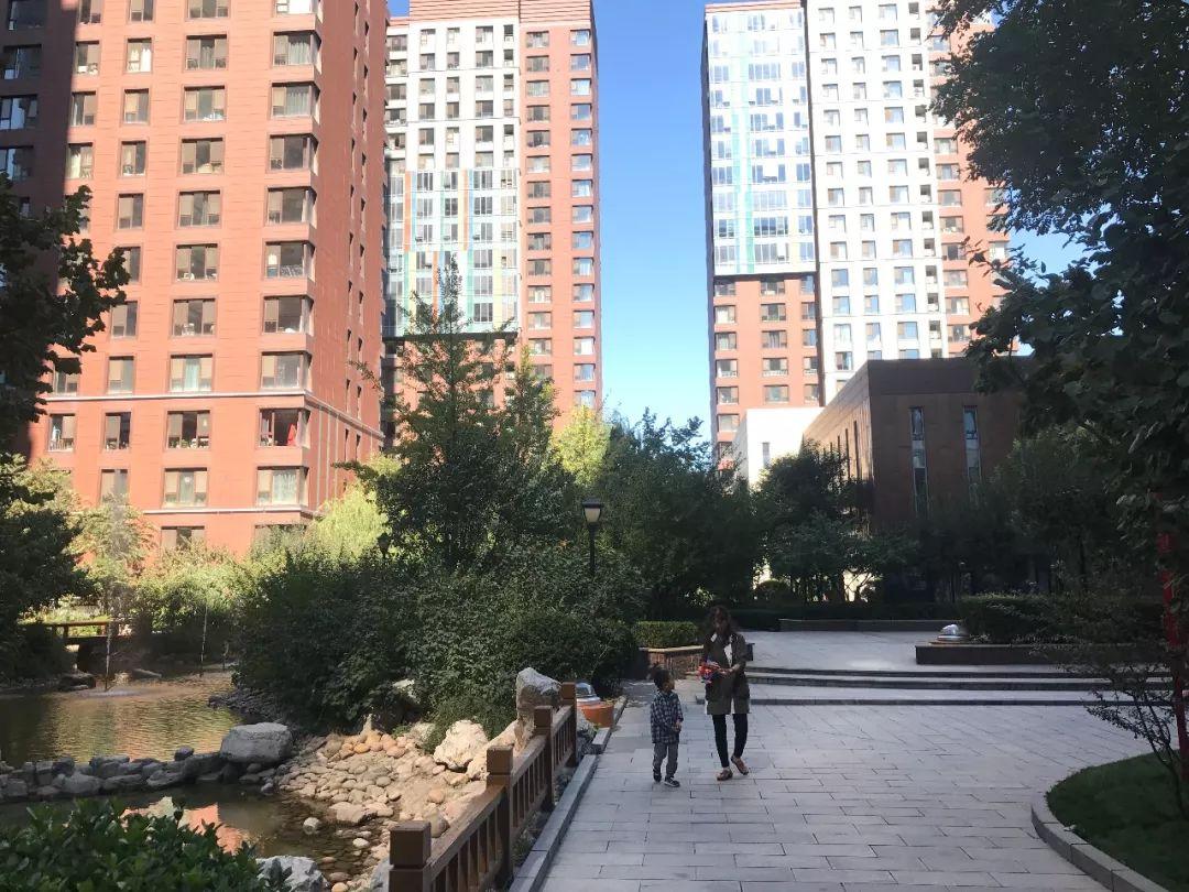 实探石家庄最贵学区房:帝王国际 - 知乎