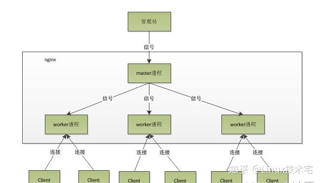 nginx 架构