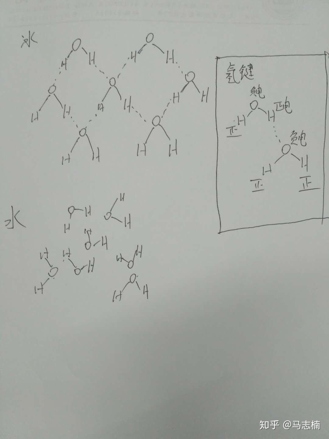 水的氢键结构示意图图片