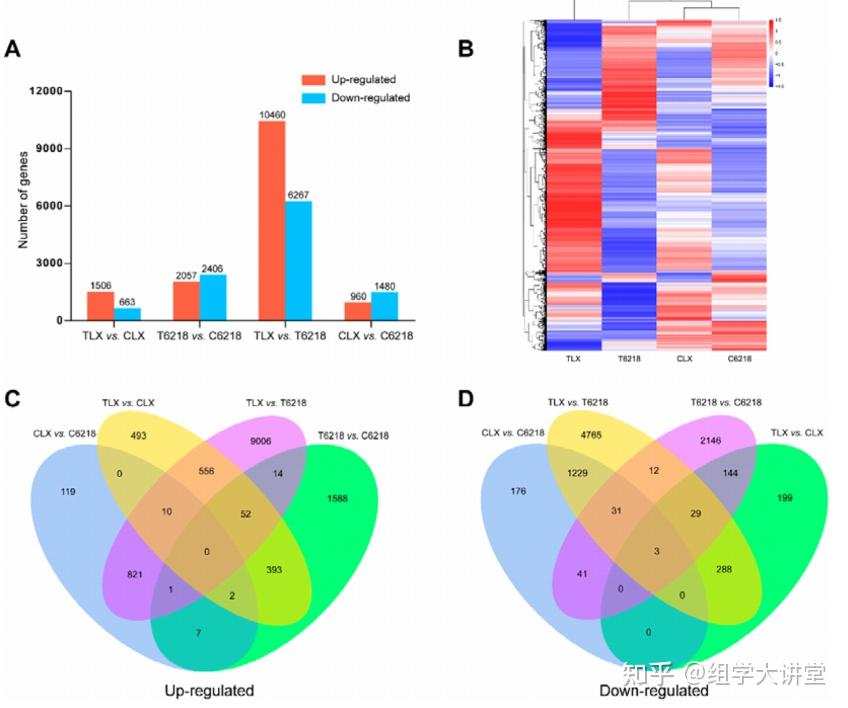 最新1区5 分转录组代谢组联合分析sci精读解析