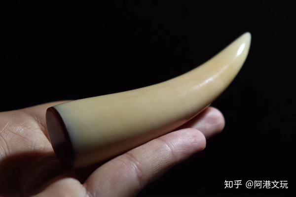 新手如何辨别抹香鲸牙真假,真抹香多少钱一克?【专家讲解】