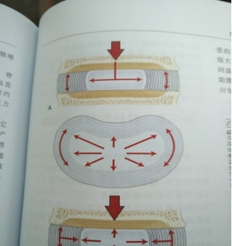 v2-13c8b97fb2b121b074af86f6c236c076_b.png