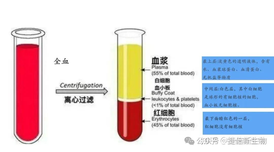 全血DNA提取--让你不再“血”本无归 - 知乎