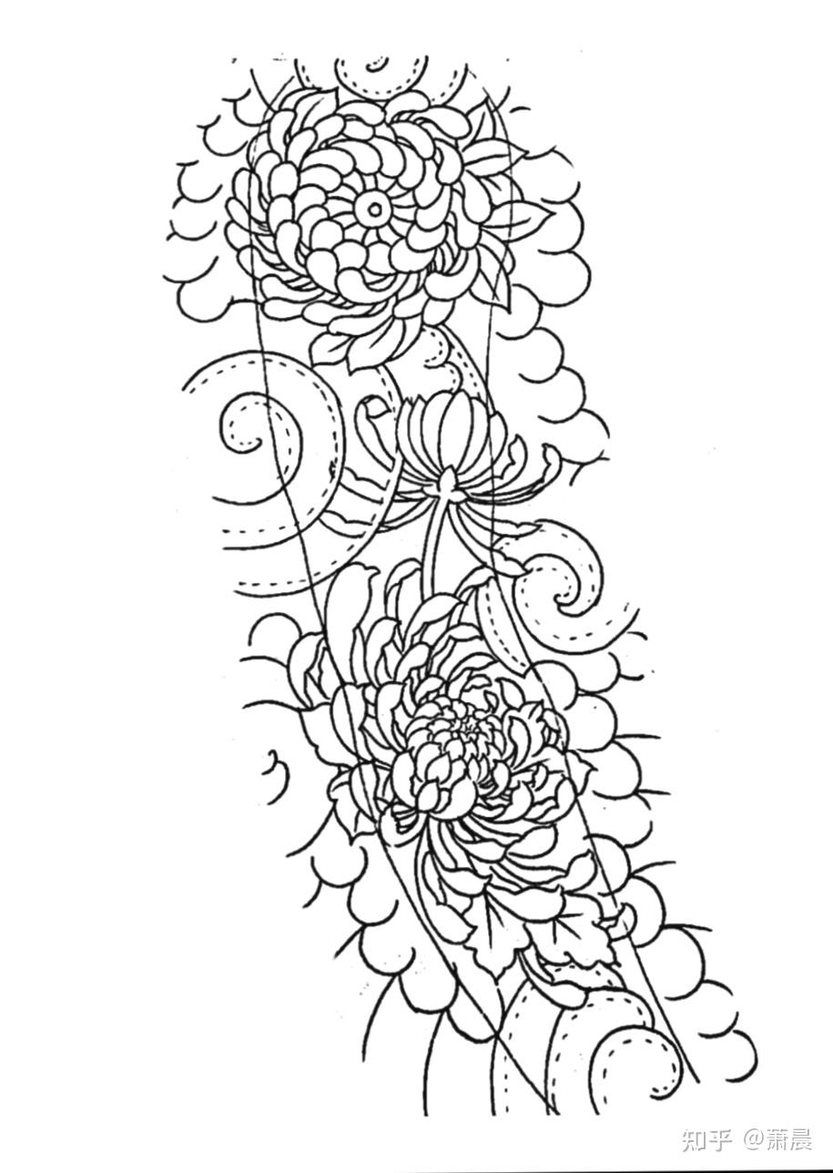 那位大哥有这个花臂素花上色图