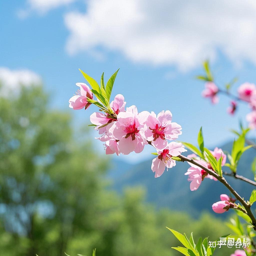 让花成花,让树成树 - 知乎