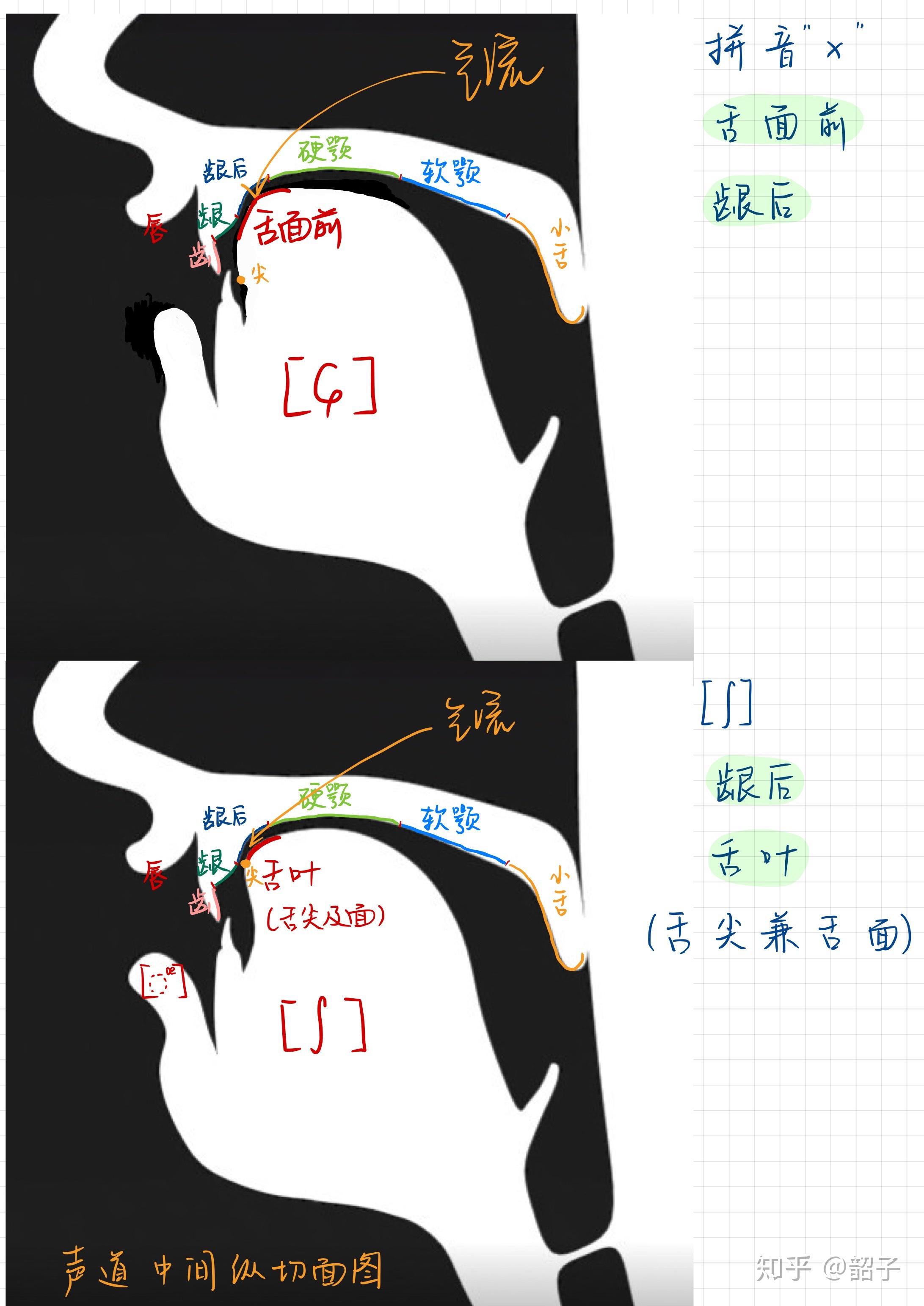 国际版抖音TikTok国内使用方法大全亲测有效 知乎