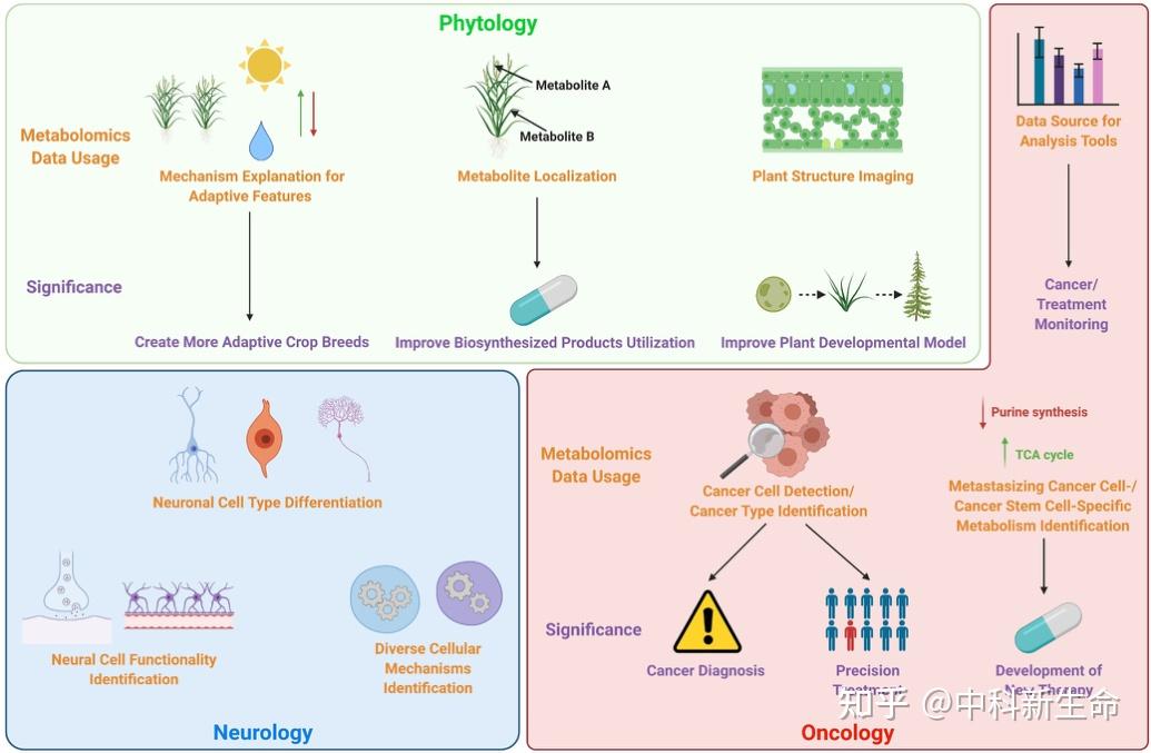 单细胞代谢组-解码细胞代谢异质性 - 知乎