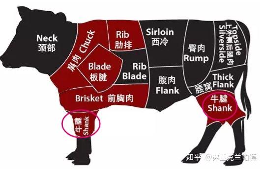 牛腱子是牛哪个部位图怎么做好吃附京东生鲜10款牛腱子推荐