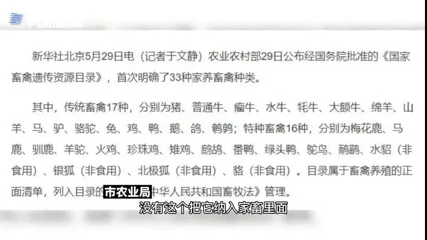 大快人心宠物盲盒涉事企业终被处罚