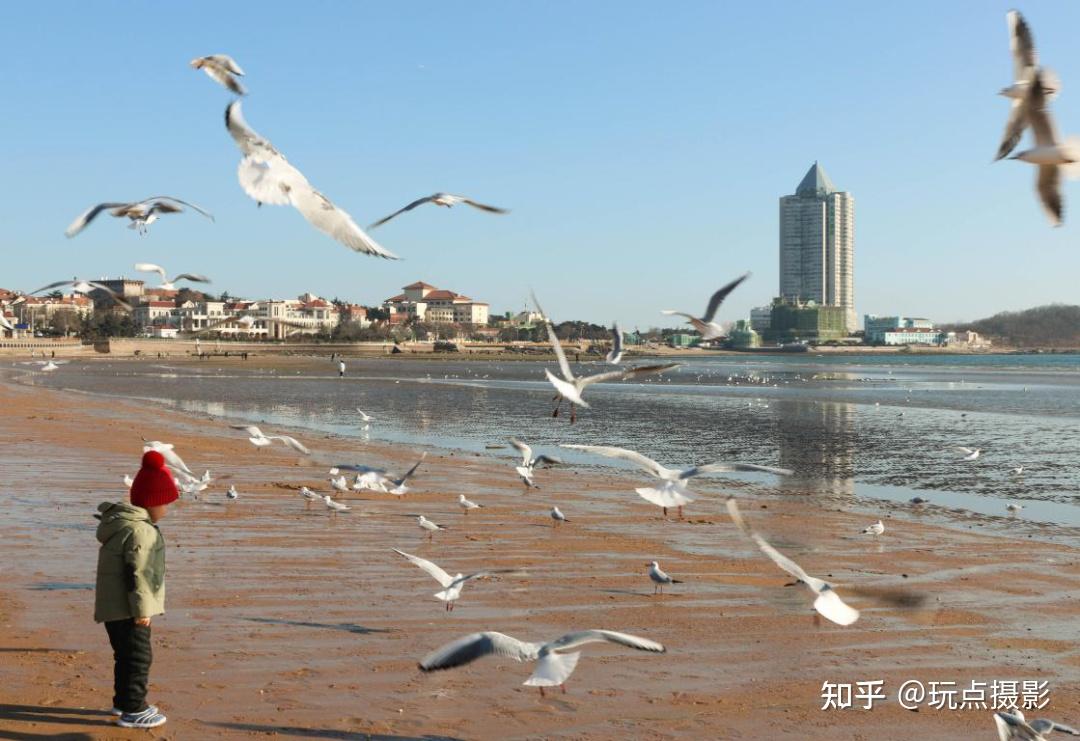 摄影 | 景别是什么?该如何使用不同景别? - 知乎