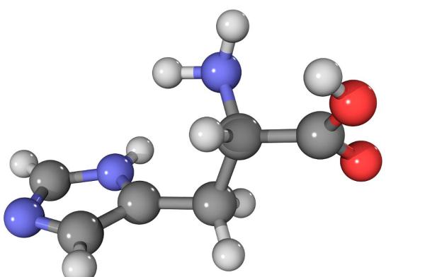 带你走进茶叶中的茶氨酸