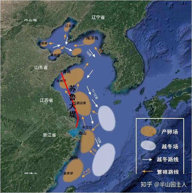 56吕四渔港黄海渔场海鱼洄游海洋牧场及中韩协定暂定措施水域