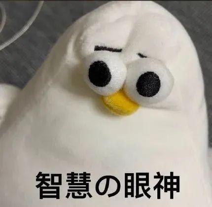 表情包 | 弱智海鸥oddy系列 - 知乎