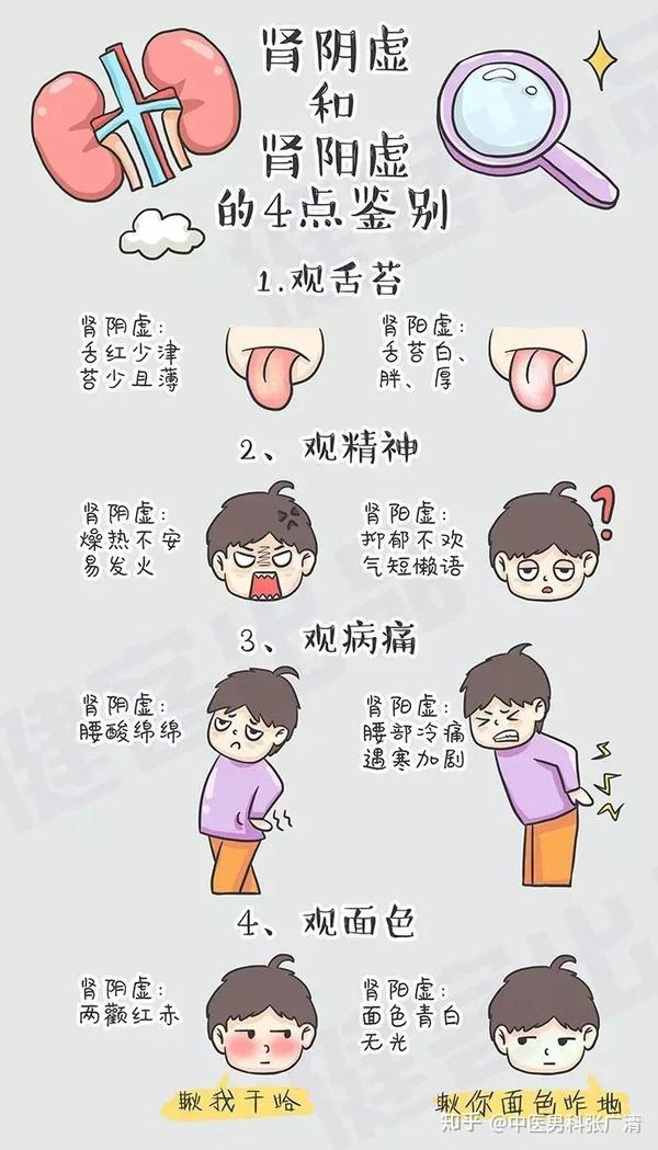 2分钟读懂肾阴虚与肾阳虚,附加一份自测表格! - 知乎