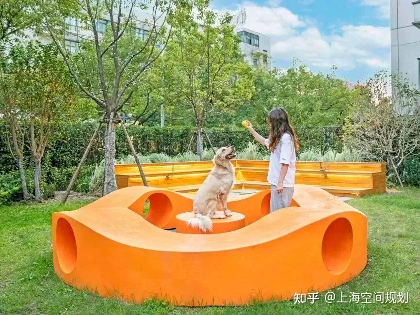 城市话题｜上海外滩被猫咪占领，“它经济”带来宠物友好空间规划新形势 - 知乎