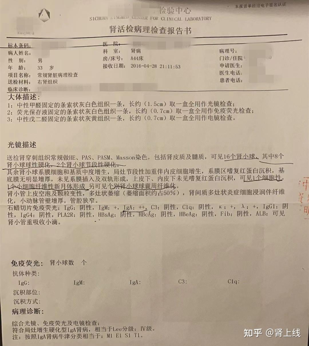 肾衰竭诊断书图片