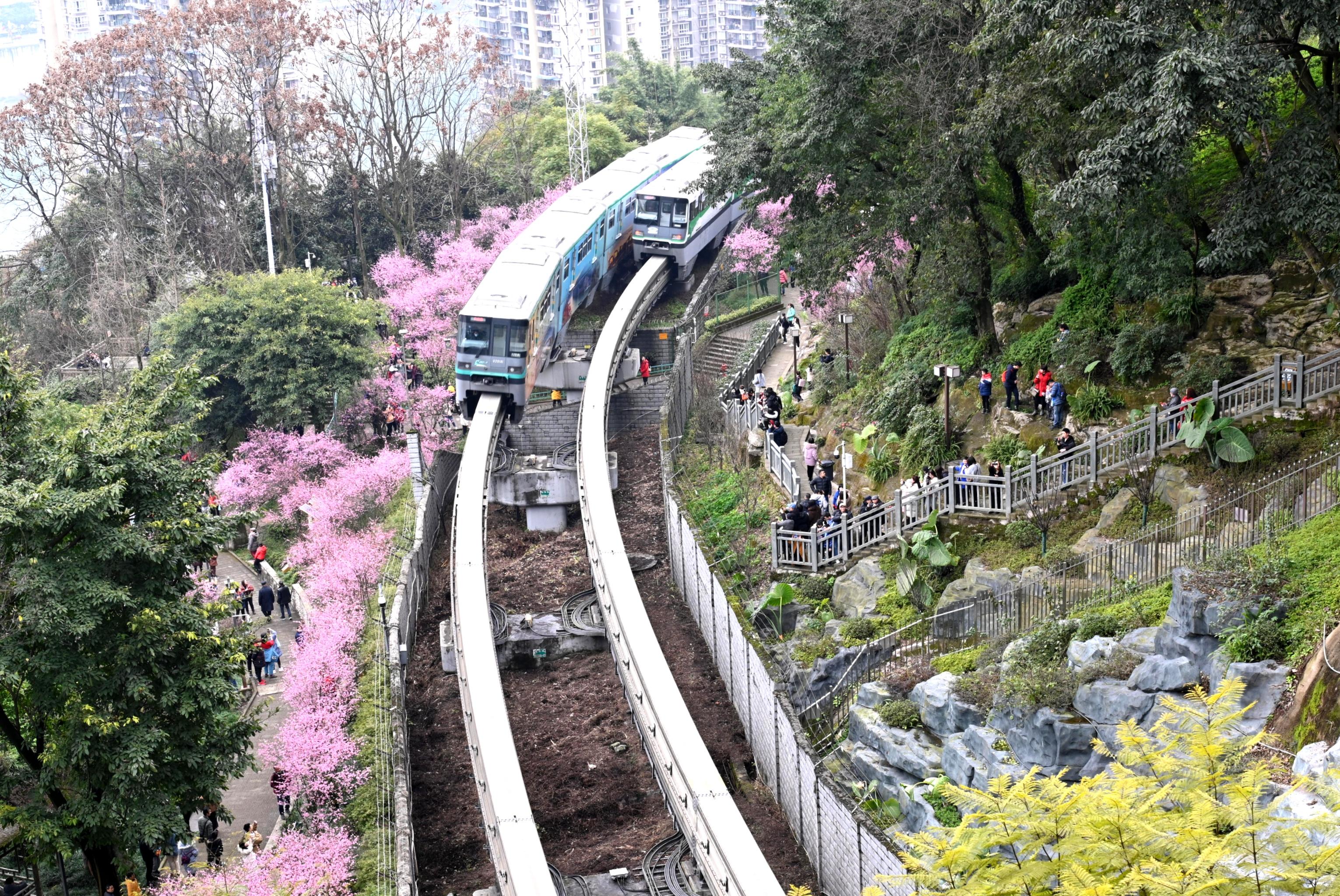 重庆地铁驶进春天