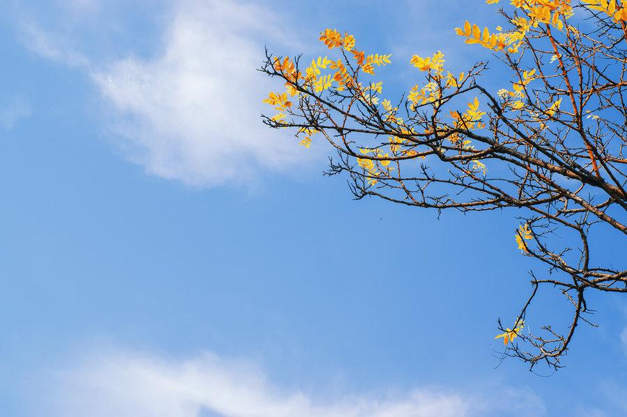 什么时候天气转凉进入秋天 v2-14550a909fed424223fb8375d05fcbf4_1440w.jpg?source=172ae18b