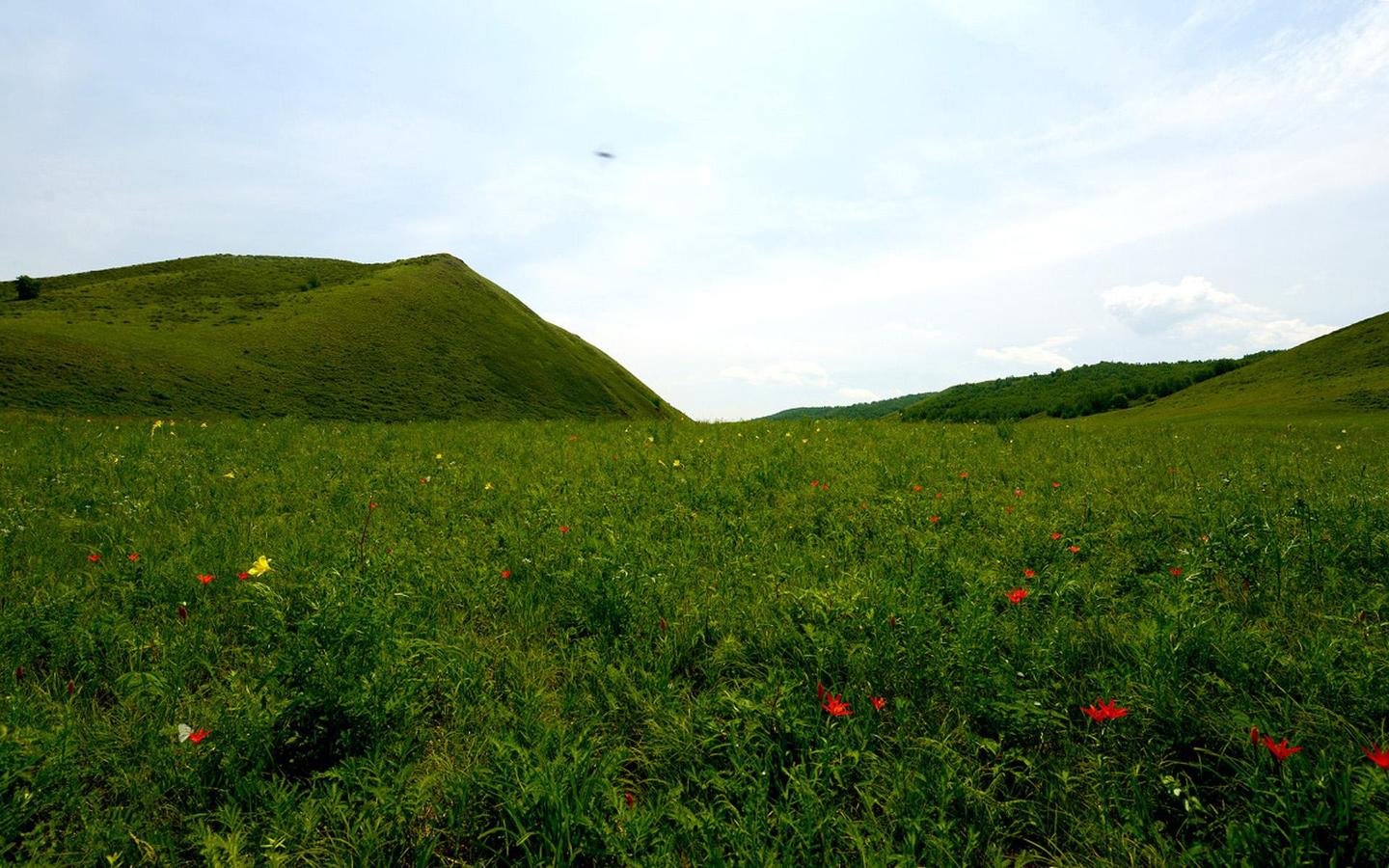 中国土壤分类及分布 土壤有机碳最全整理 知乎