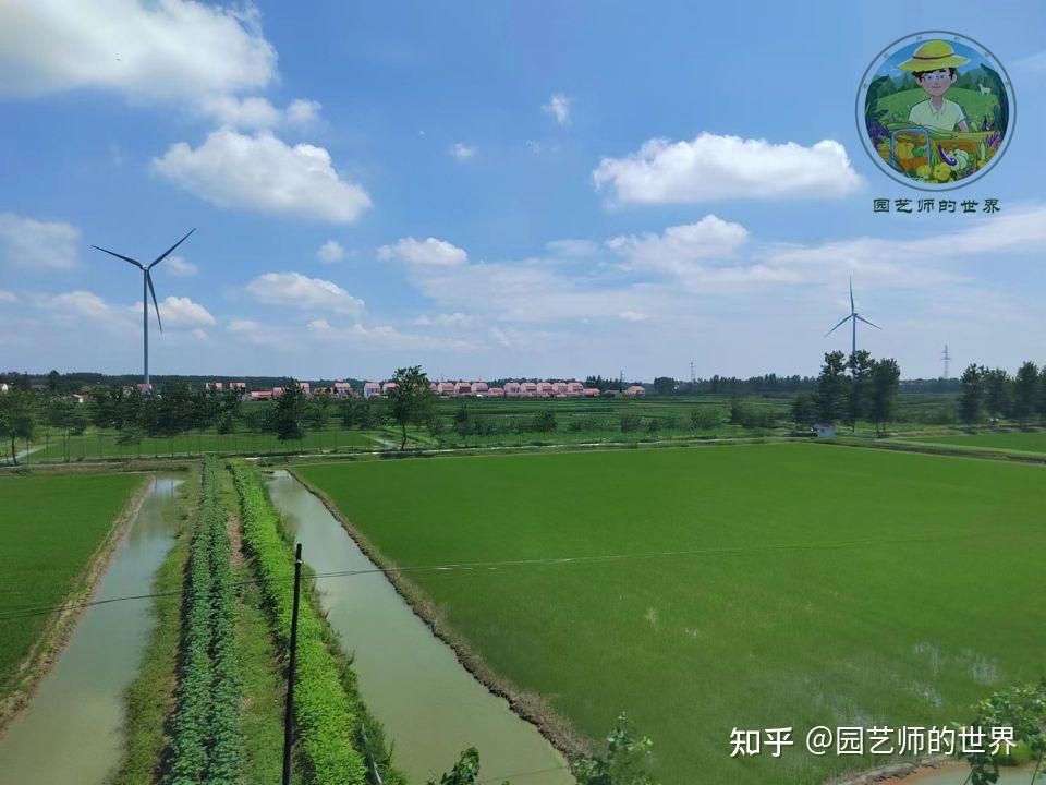 来自一封田埂上的信 - 知乎