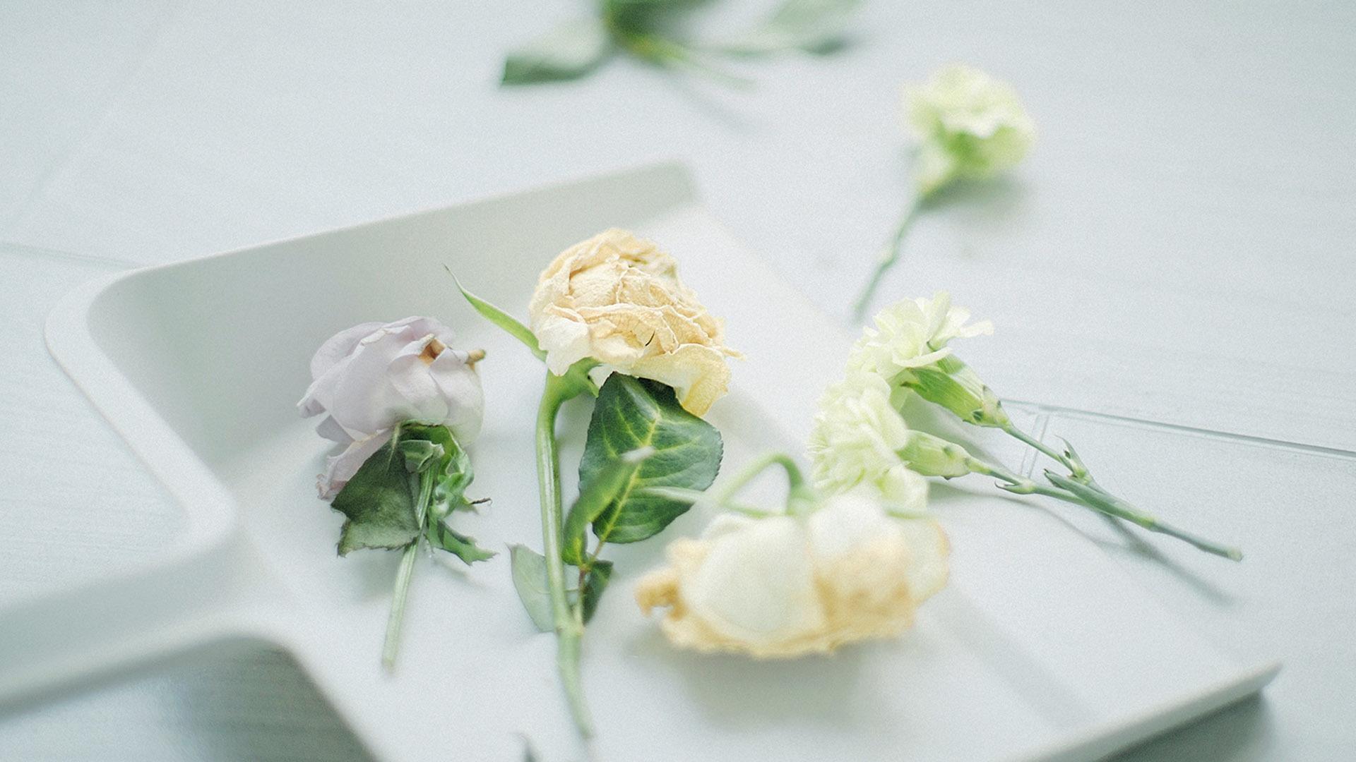 简约唯美电脑壁纸你值得拥有