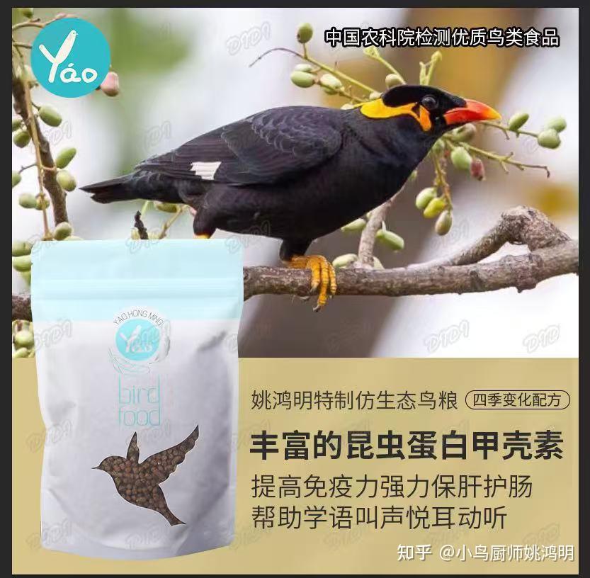 羽毛损坏不可逆?揭秘鸟类神奇的“换羽”再生术 - 知乎