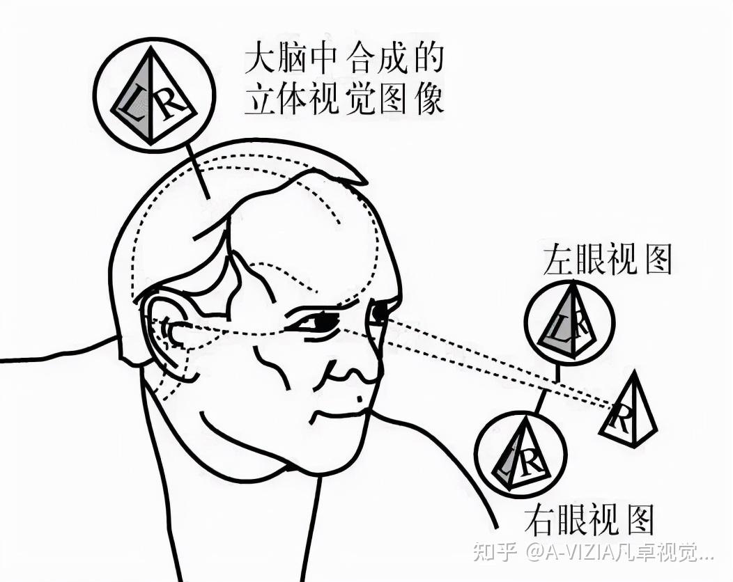 裸眼3d图片最强大脑图片