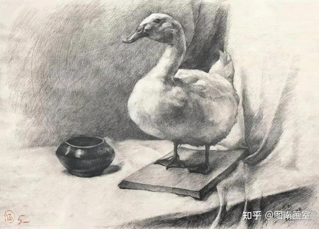海量中央美术学院附中最新素描作品及历届经典作品欣赏
