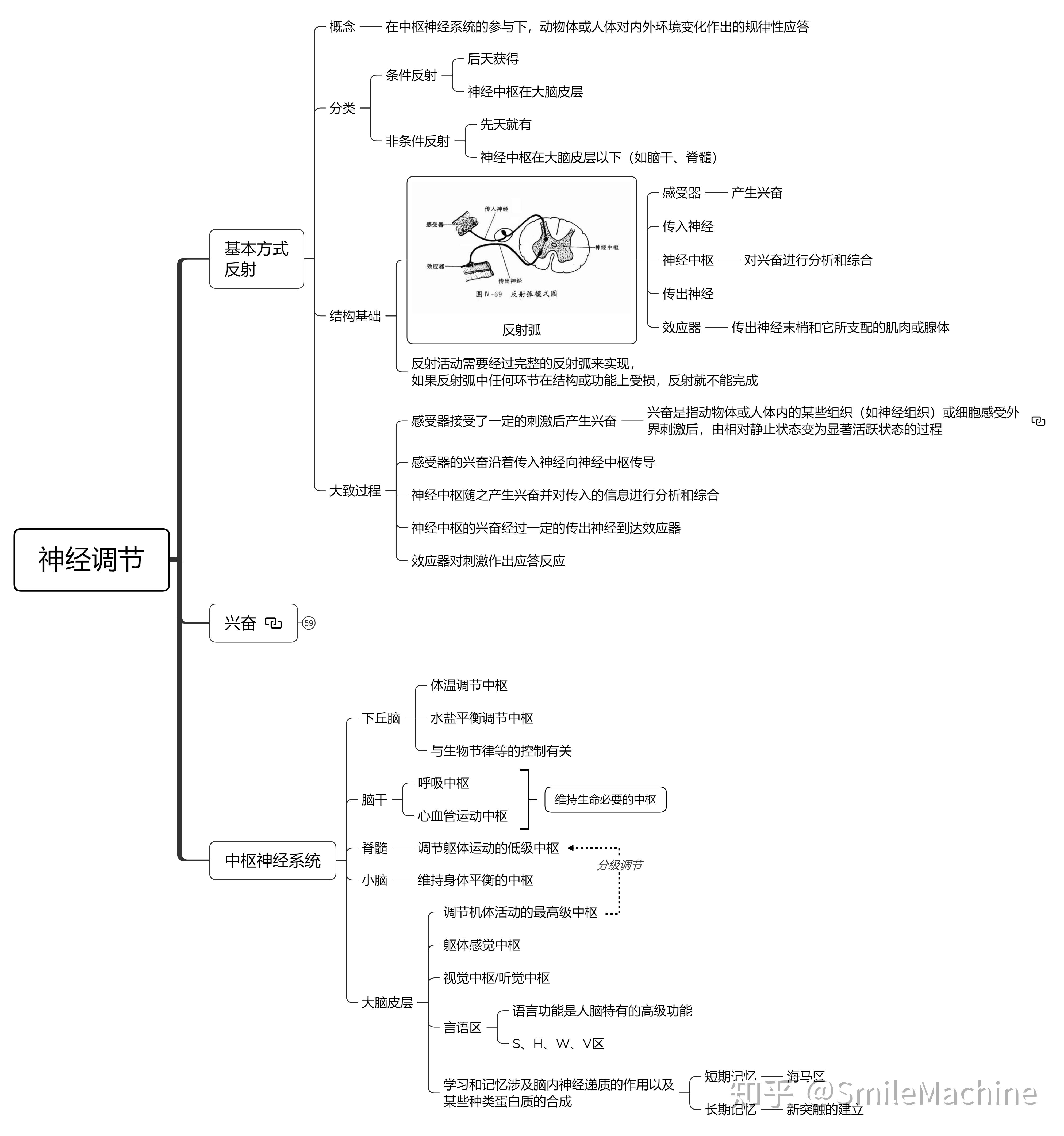 动物和人体生命活动的调节知识结构图