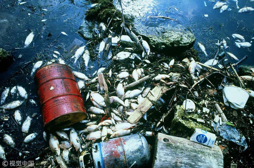 人体已被塑料污染那些被你遗弃的垃圾正在偷偷还给你