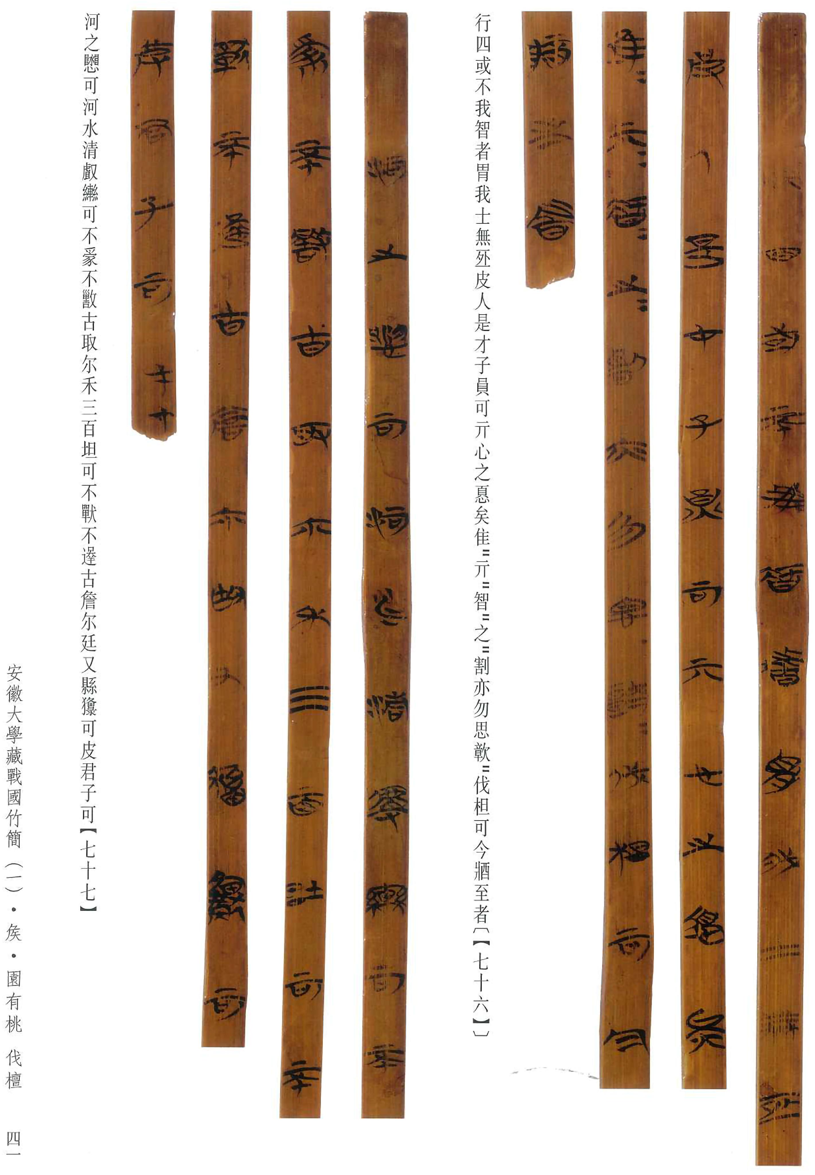 安大简诗经64国风64矦园有桃