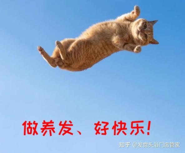 【发觉】养发馆:1000亿头发护理蓝海,带你驰骋! - 知乎