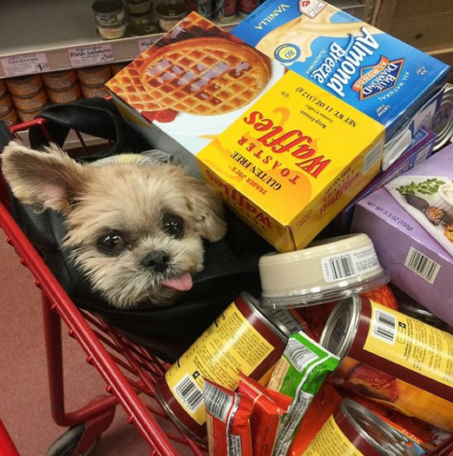 真相你绝对想不到! - 知乎