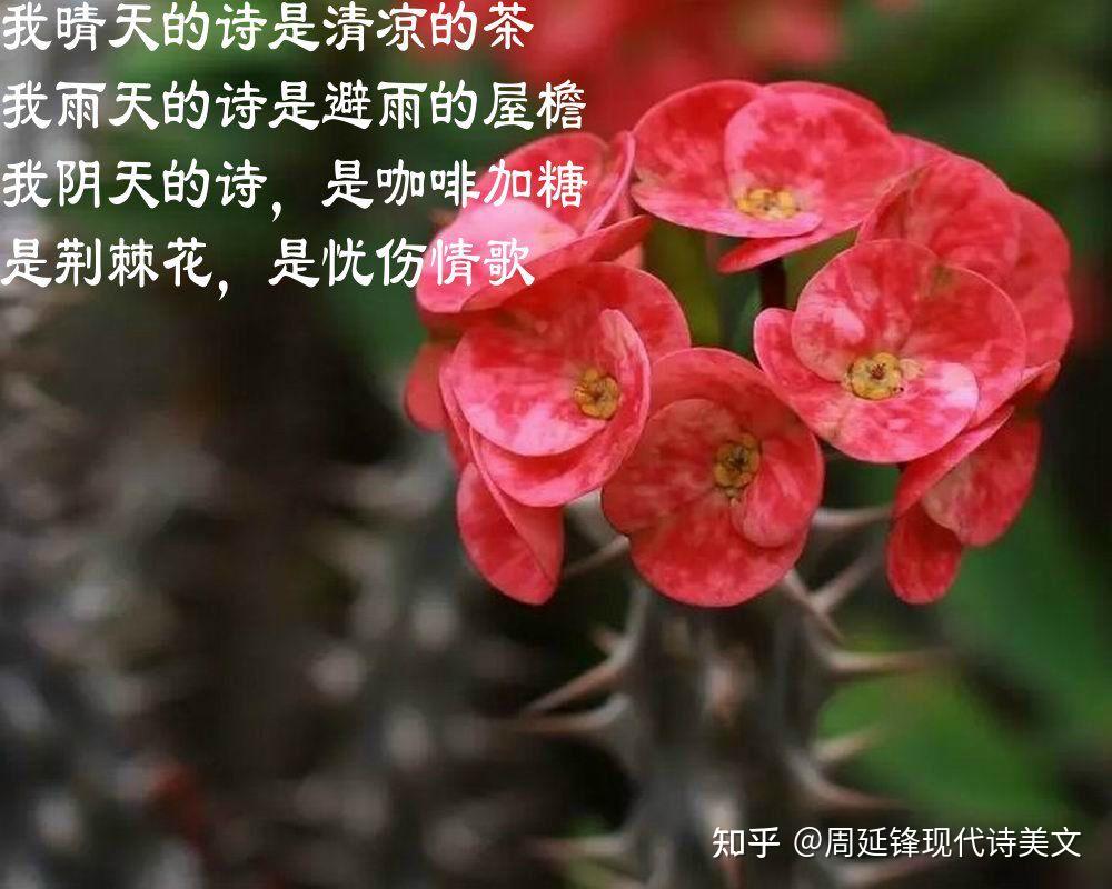 晴雨阴,一生的诗情 文/周延锋现代诗歌美文美图 - 知乎