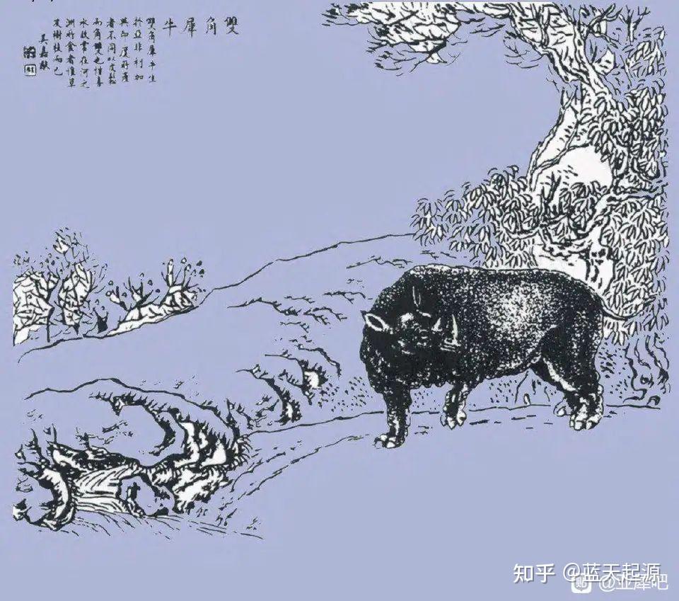 古犀解密~古犀到底长啥样 - 知乎