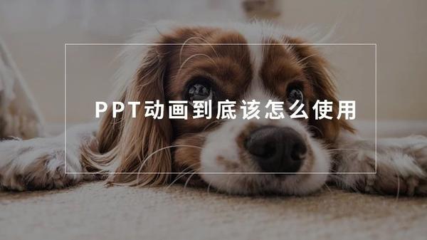 ppt取消所有动画效果:PPT动画需要注意的3点