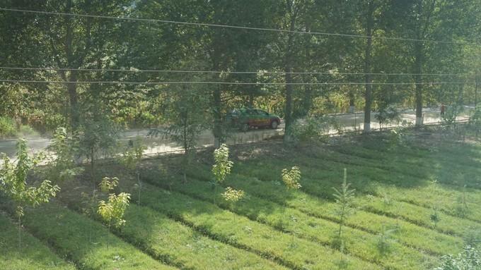 北朝鲜的四天三夜:穿越时间的地平线,告别异乡的“陌路人”