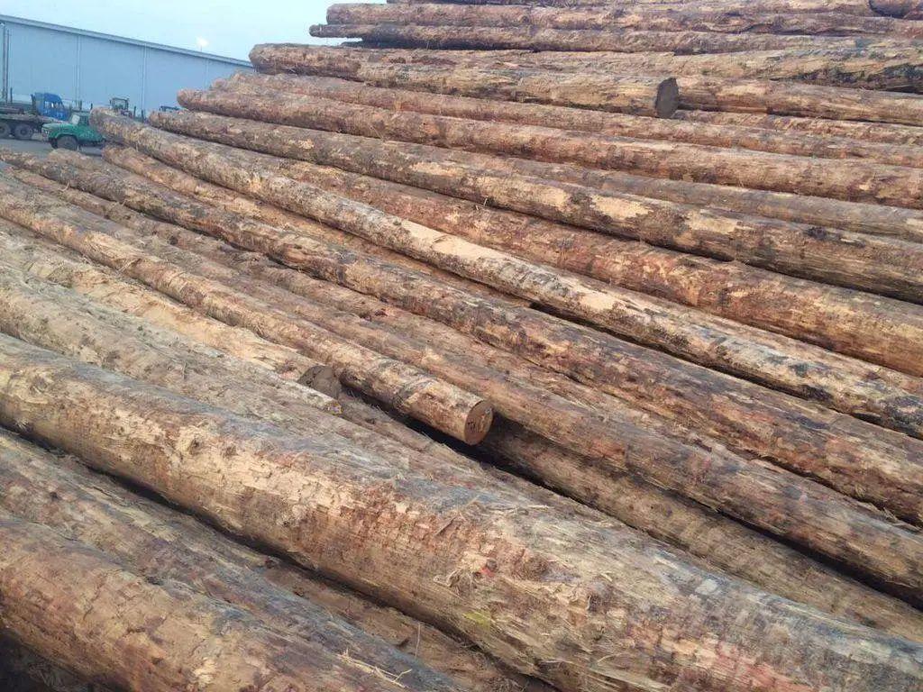 木材检测的项目和部分标准 - 知乎