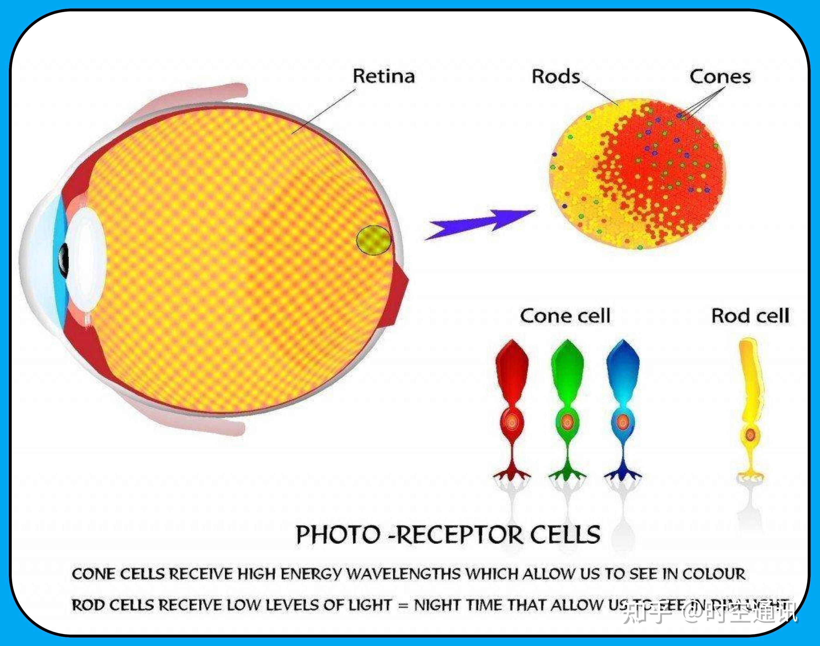 灯光和太阳光能量完全不同,亮度也相差巨大,速度会不同吗? - 知乎