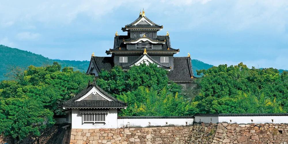 冈山城下八丈岛上战国儿女情