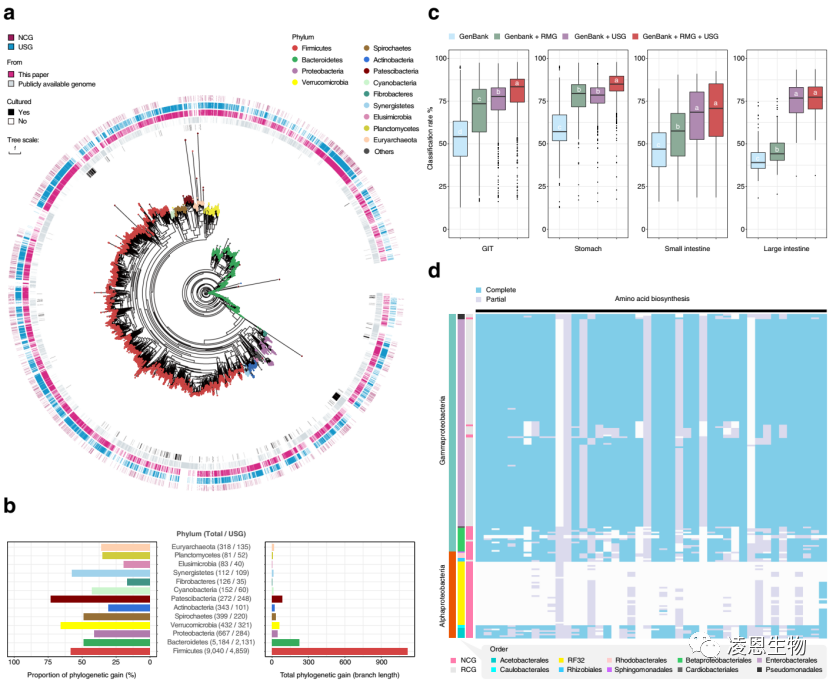 凌恩客户文章|《Microbiome》:宏基因组构建反刍动物全消化道超1万个MAGs新进展 - 知乎