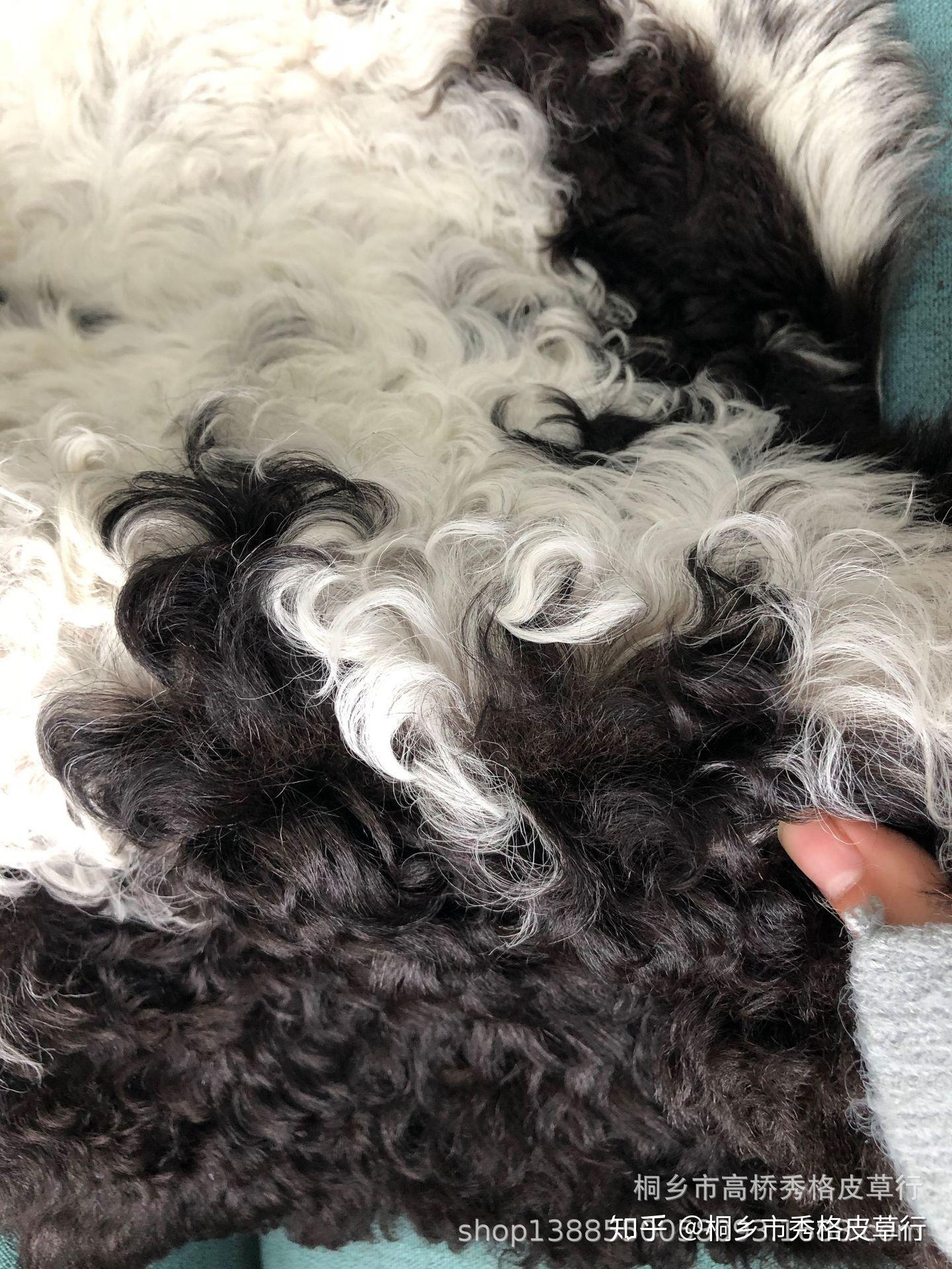 提格拉多羊毛介绍,什么是tigrado提格拉多皮毛一体?