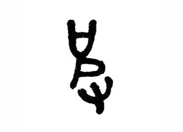 皮：汉字的起源与演变（小学一年级语文生字 第56集）