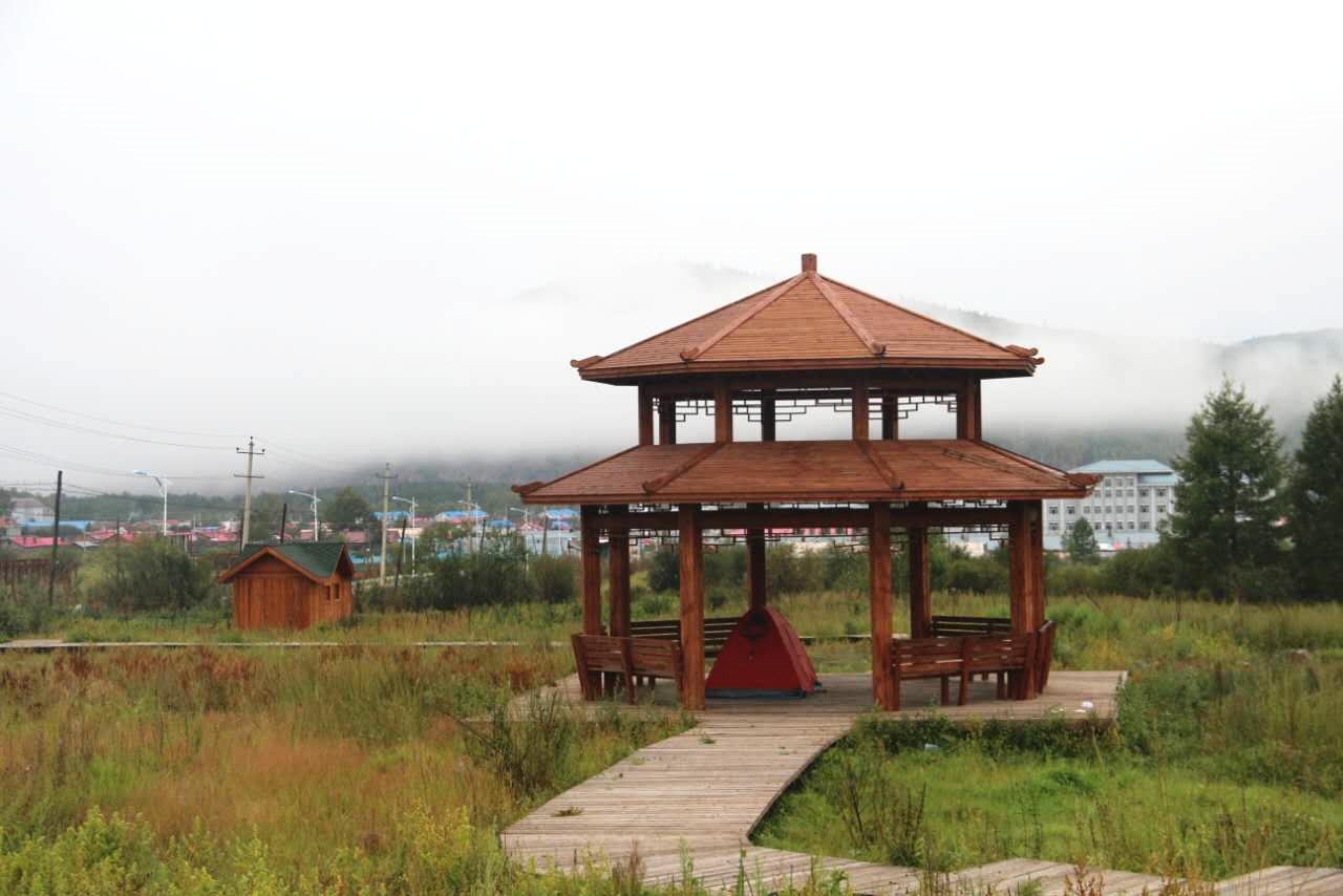 磊爷环行中国阿龙山金河根河一柳暗花明的遇见