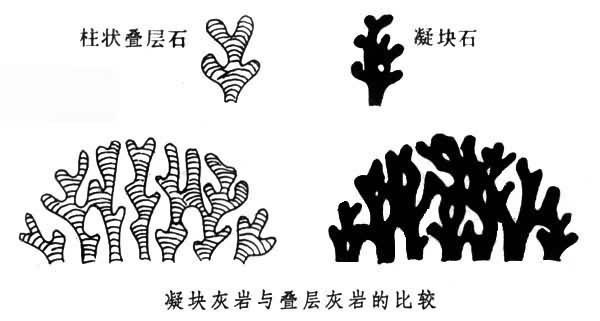 石灰岩岩石检测天然岩石检测