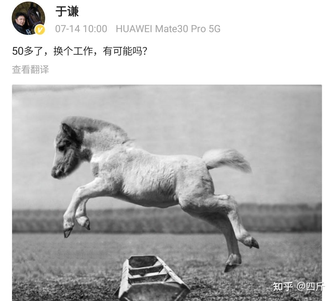 想换个工作,有可能么,而配图,正是一匹小矮马跳过一个食槽,什么意思