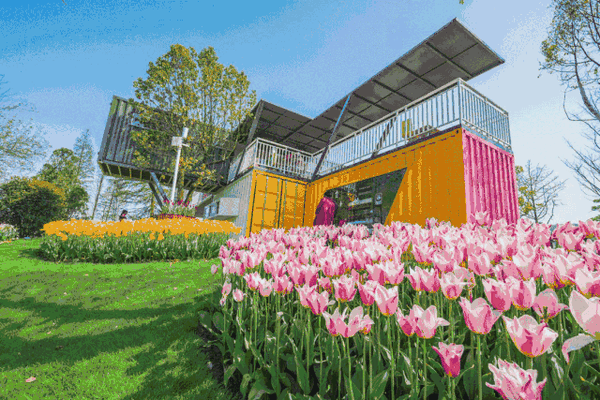 富良野和美瑛的花儿都开好了 在油画般的花田里骑行才是正经事 知乎