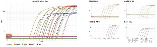 一步法多重pcr试剂盒，完美解决多重pcr痛点 知乎 1288