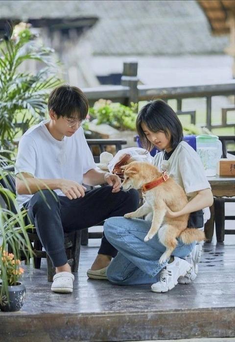 张子枫是不是整容了? 哈哈崽 因为瘦啦!朋友,动起来,减肥!